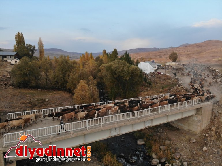 Ağrı'da sonbaharla renk cümbüşü oluşan doğa görsel şölen sunuyor