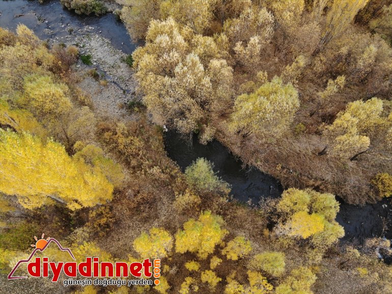 şölen renk oluşan görsel sonbaharla sunuyor doğa Ağrı