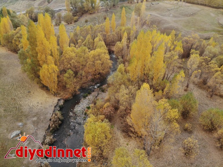 sonbaharla cümbüşü renk görsel oluşan Ağrı