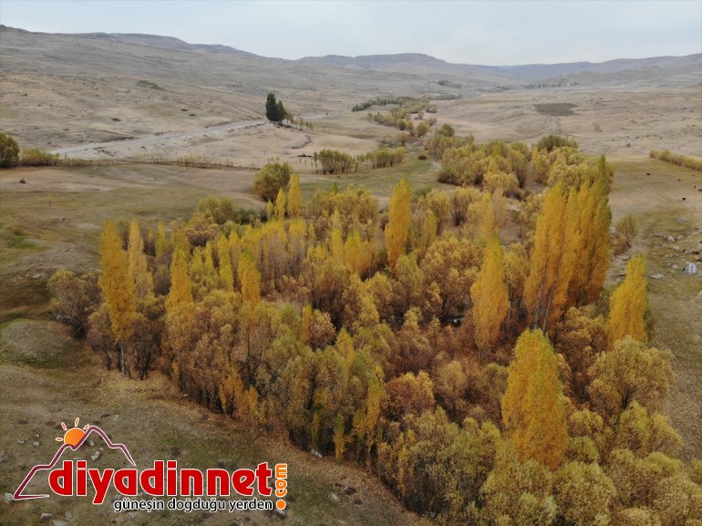 cümbüşü renk görsel şölen sonbaharla Ağrı