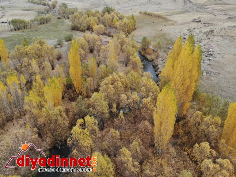 sunuyor cümbüşü şölen doğa oluşan görsel sonbaharla Ağrı