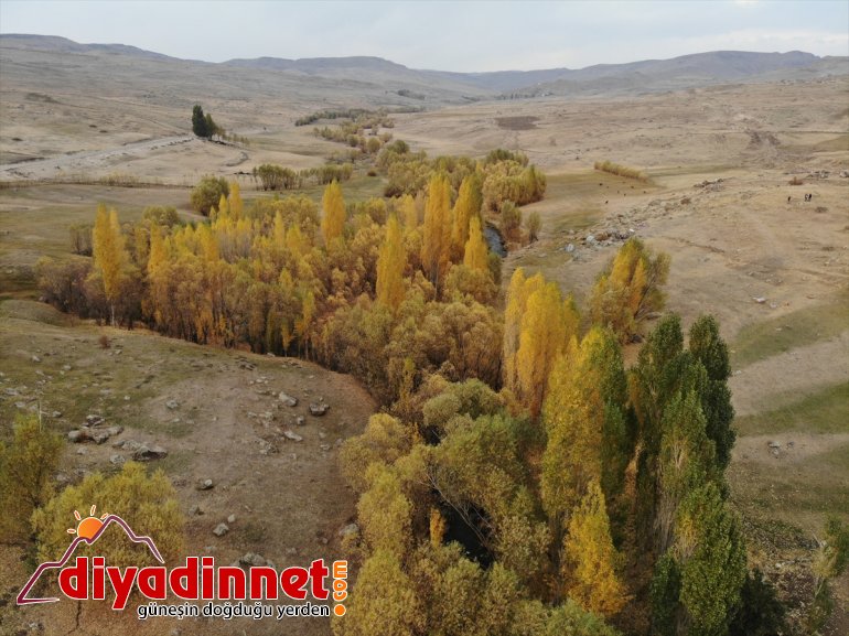 sunuyor şölen renk sonbaharla oluşan cümbüşü görsel Ağrı