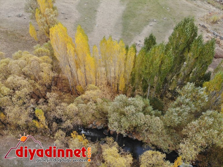 görsel sunuyor cümbüşü doğa şölen Ağrı