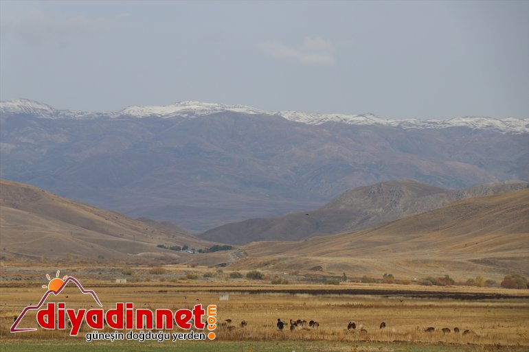 Erzurum ve Ağrı'nın yüksek kesimleri karla kaplandı