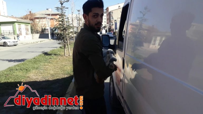Çarptığı kediyi veterinere yetiştirmek için zamanla yarıştı