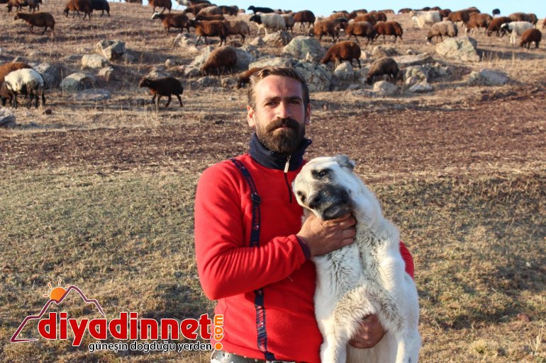 Göçerlerin zorlu dönüş yolculuğu devam ediyor1