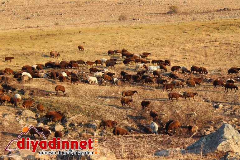 Göçerlerin zorlu dönüş yolculuğu devam ediyor2