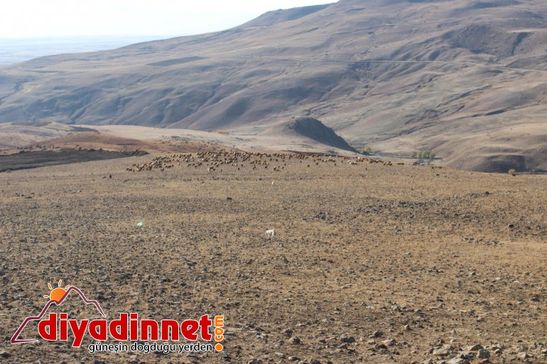 Göçerlerin zorlu dönüş yolculuğu devam ediyor11