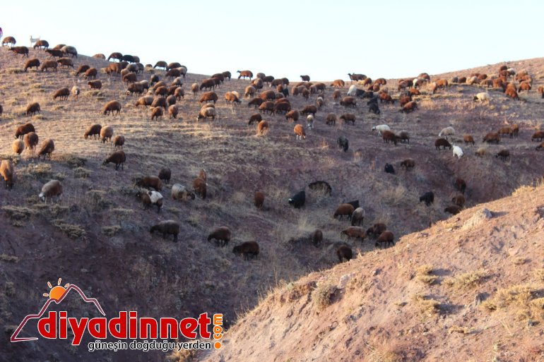 Göçerlerin zorlu dönüş yolculuğu devam ediyor12