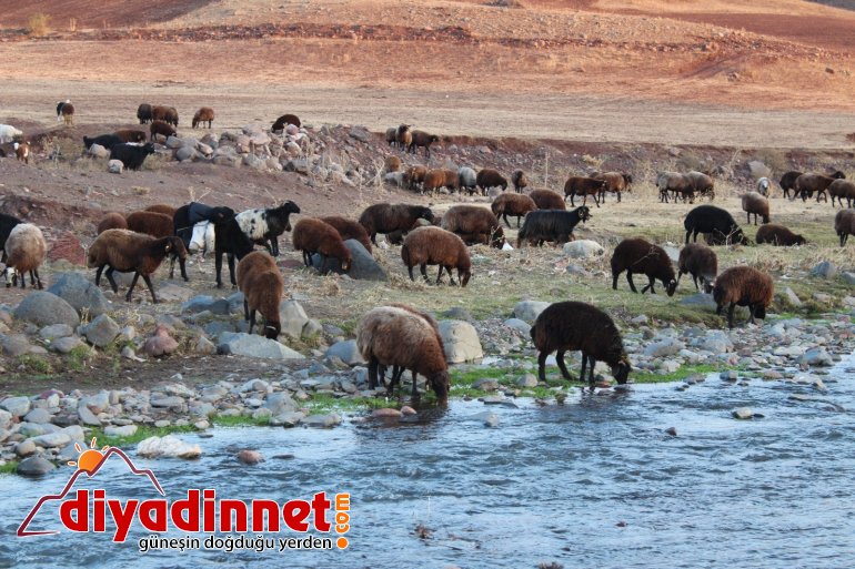 Göçerlerin zorlu dönüş yolculuğu devam ediyor14