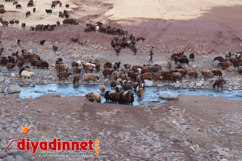 Göçerlerin zorlu dönüş yolculuğu devam ediyor15