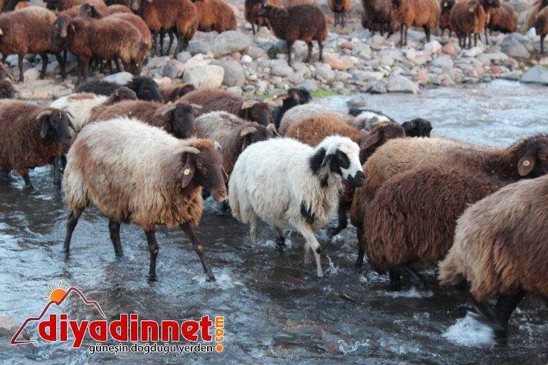 Göçerlerin zorlu dönüş yolculuğu devam ediyor16