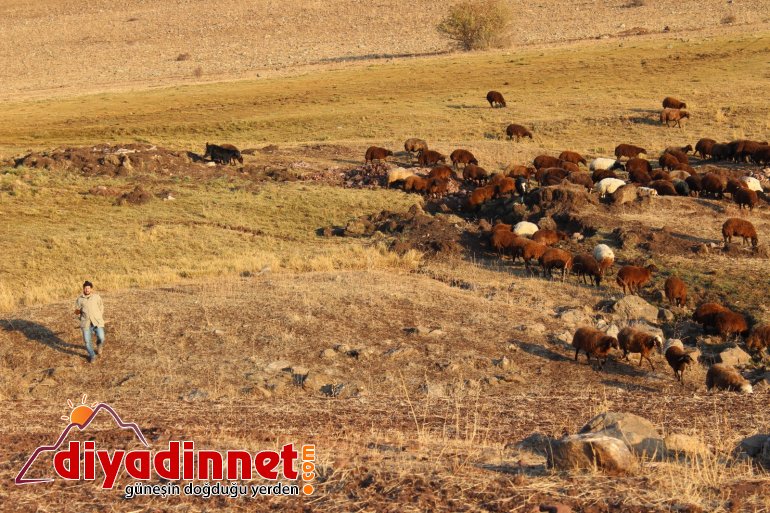 Göçerlerin zorlu dönüş yolculuğu devam ediyor4