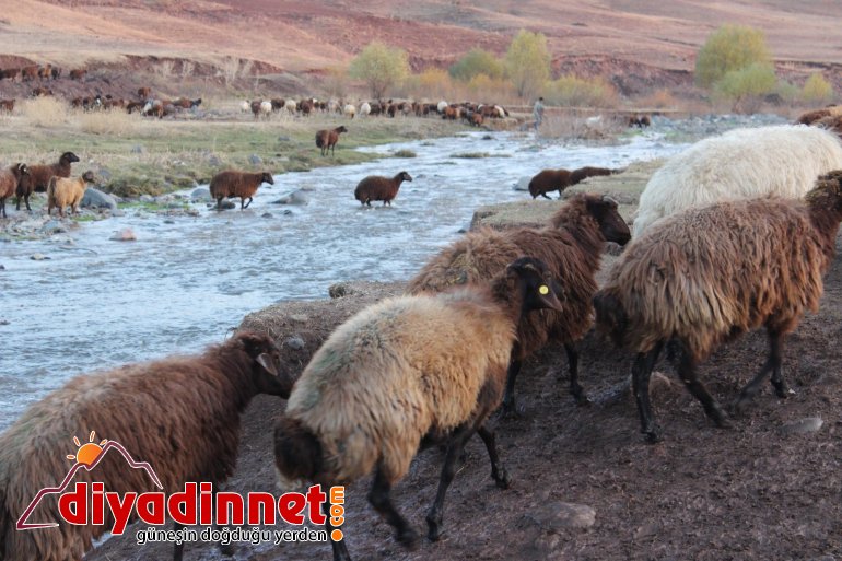 Göçerlerin zorlu dönüş yolculuğu devam ediyor6