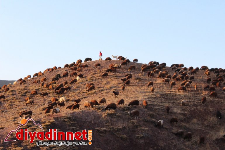 Göçerlerin zorlu dönüş yolculuğu devam ediyor8