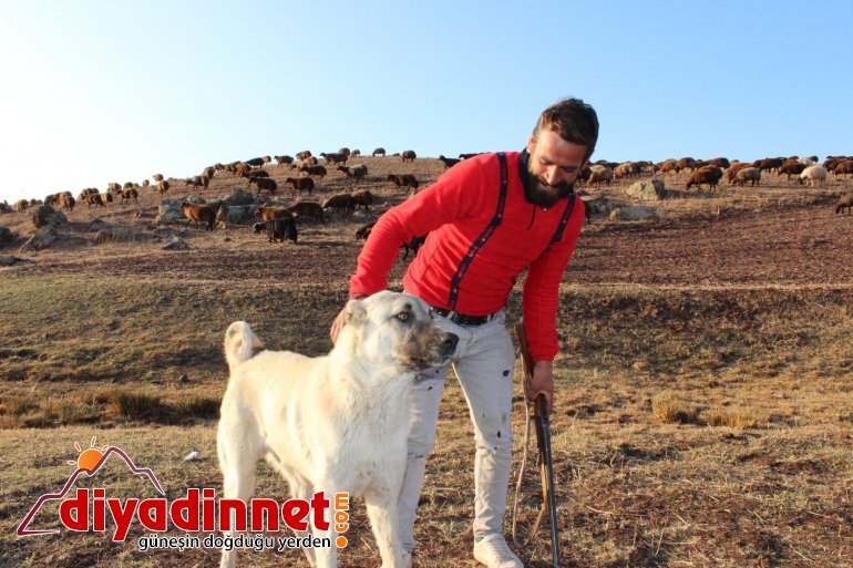 Göçerlerin zorlu dönüş yolculuğu devam ediyor9