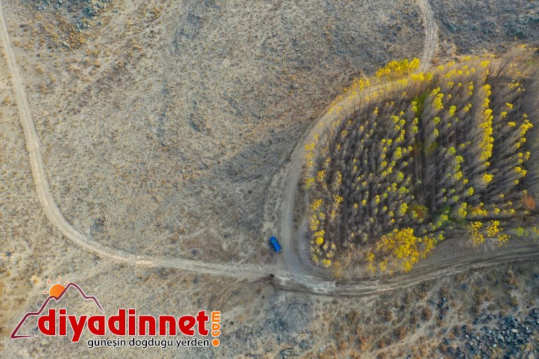 renkleriyle Bağları İrem - büyülüyor sonbahar IĞDIR 2