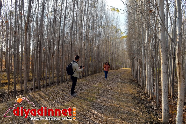 IĞDIR sonbahar renkleriyle Bağları İrem büyülüyor - 13