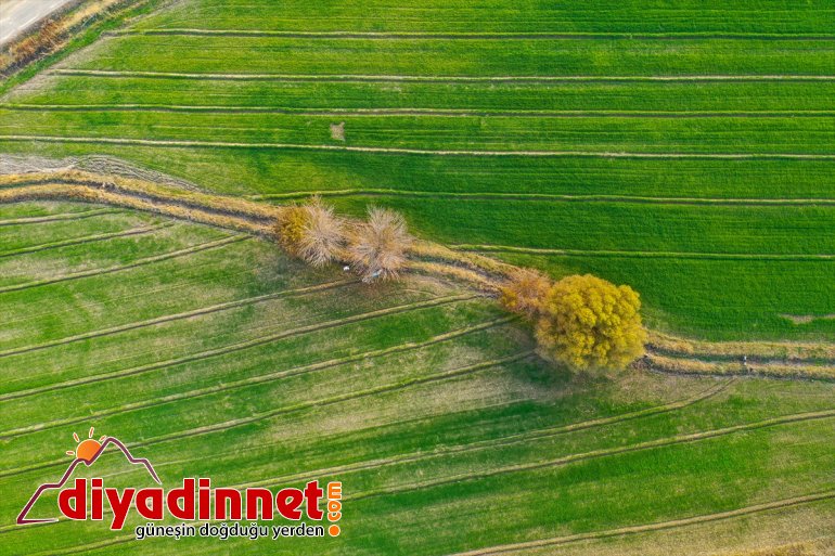 İrem IĞDIR renkleriyle sonbahar büyülüyor Bağları - 4