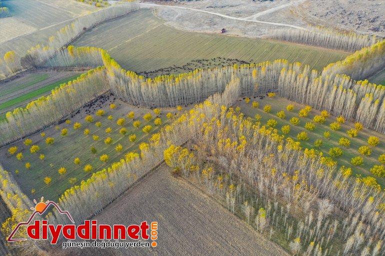 büyülüyor İrem - sonbahar renkleriyle Bağları IĞDIR 5