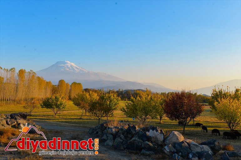 İrem büyülüyor IĞDIR sonbahar renkleriyle - Bağları 7