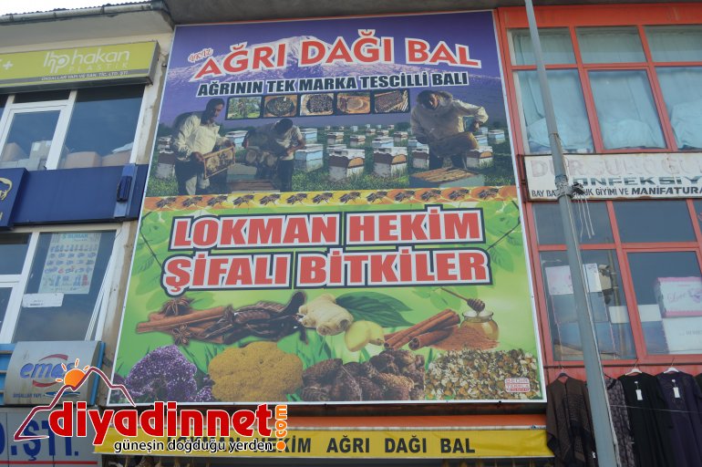 Korona virüse karşı mücadelede propolis dönemi1