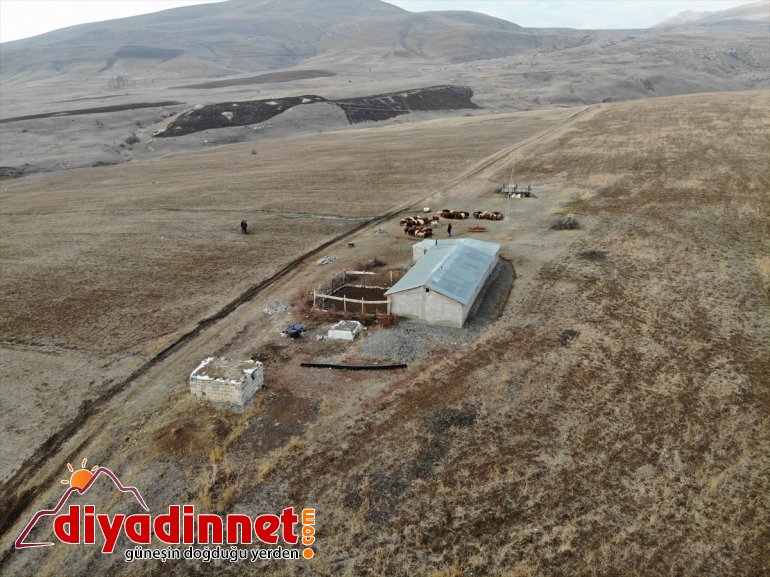 Yılın yarısını koyunlarıyla kırsalda yalnız geçiriyor4