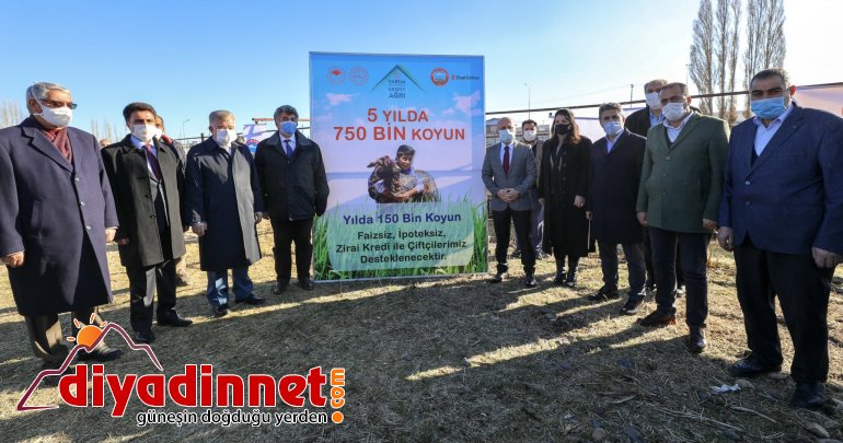 Ağrı 5 Yılda 750 Bin Koyun Projesi1