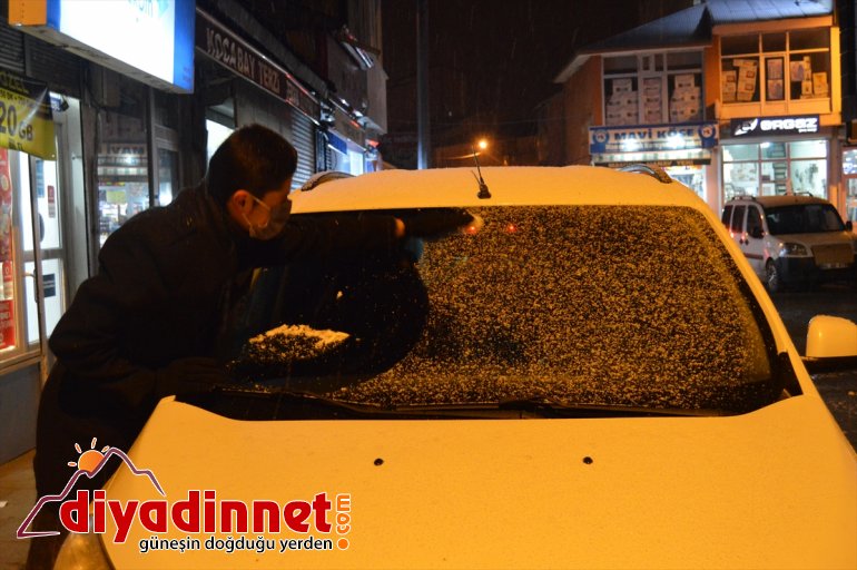 AĞRI kaplandı - karla Araçlar ve ağaçlar 3