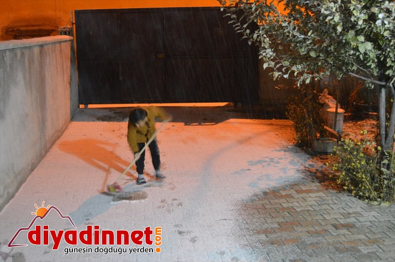 ve kaplandı karla Araçlar ağaçlar AĞRI - 6