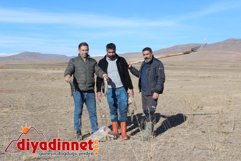 Ağrı da balıkçılar ilk mesailerine başladı11