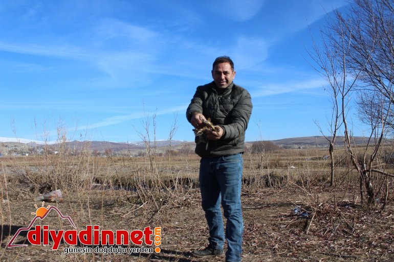 Ağrı da balıkçılar ilk mesailerine başladı12