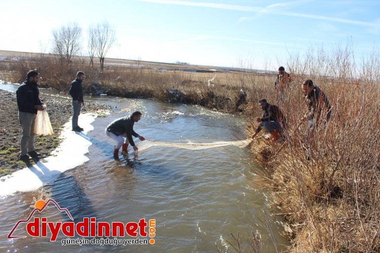 Ağrı da balıkçılar ilk mesailerine başladı6