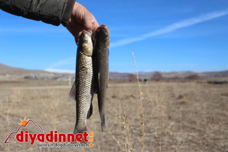 Ağrı da balıkçılar ilk mesailerine başladı10