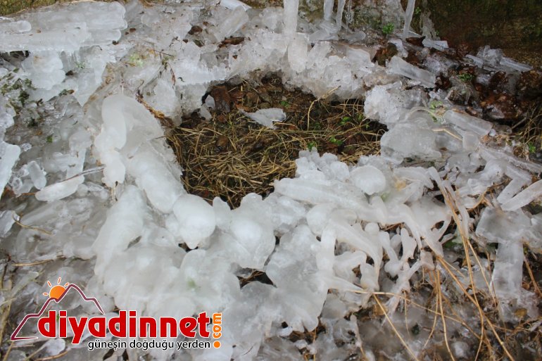 Ağrı da donmaya başlayan şelale ortaya renkli görüntüler çıkardı4