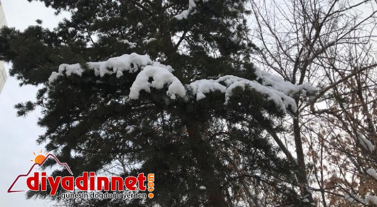 Ağrı da kar yağışı yerini buzlanmaya bıraktı7