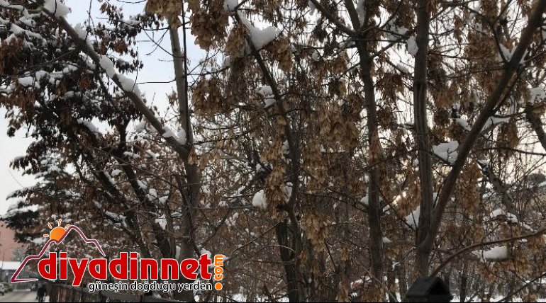 Ağrı da kar yağışı yerini buzlanmaya bıraktı8