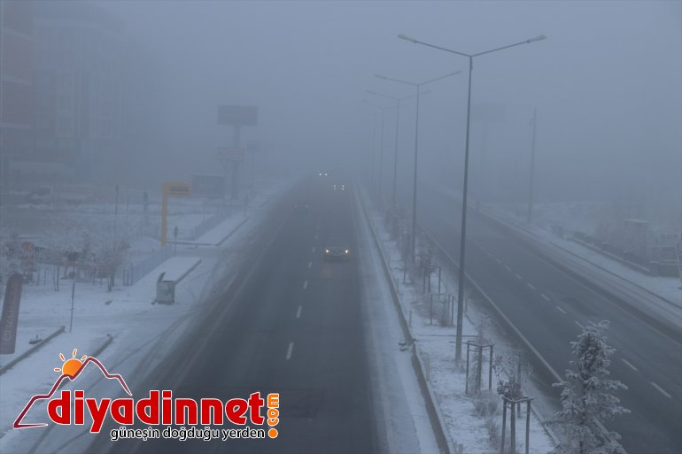 Ağrı'da soğuk hava ve yoğun sis etkili oldu.