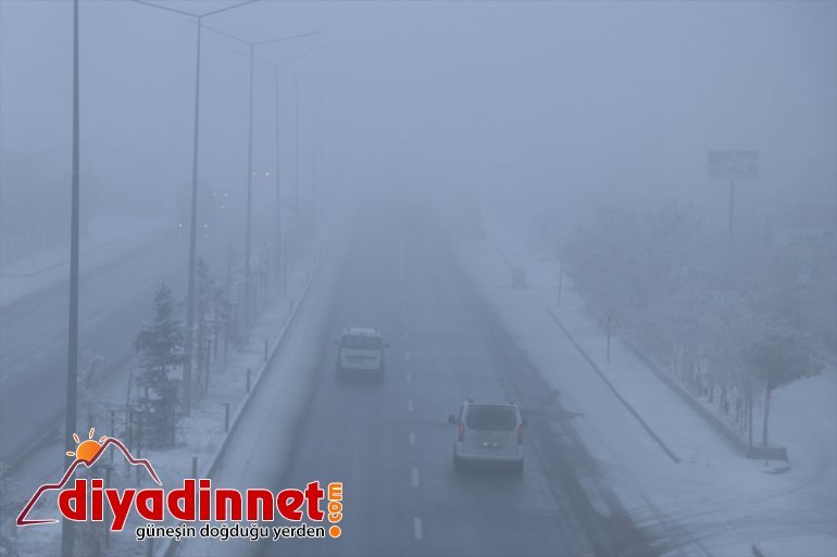 Ağrı da soğuk hava ve yoğun sis etkili oldu11