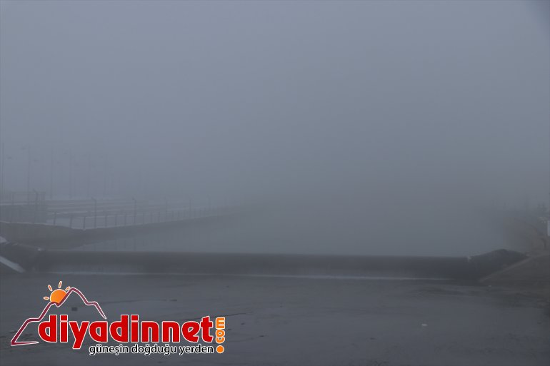 Ağrı da soğuk hava ve yoğun sis etkili oldu12