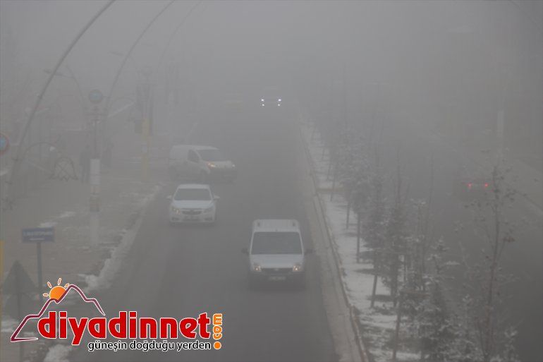 Ağrı da soğuk hava ve yoğun sis etkili oldu3