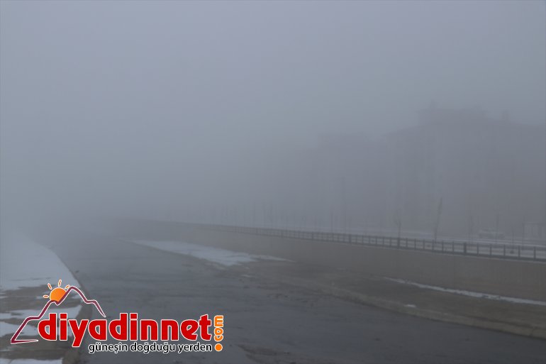 Ağrı da soğuk hava ve yoğun sis etkili oldu6