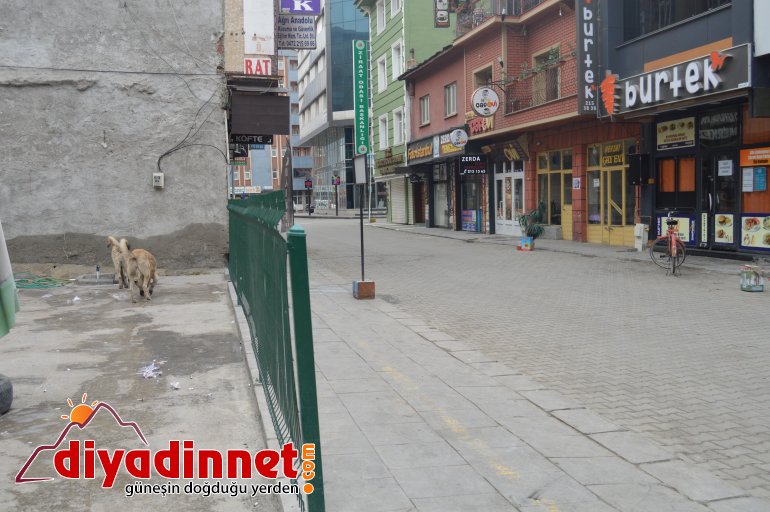 Ağrı da sokağa çıkma yasağının ilk gününde sessizlik hakim7