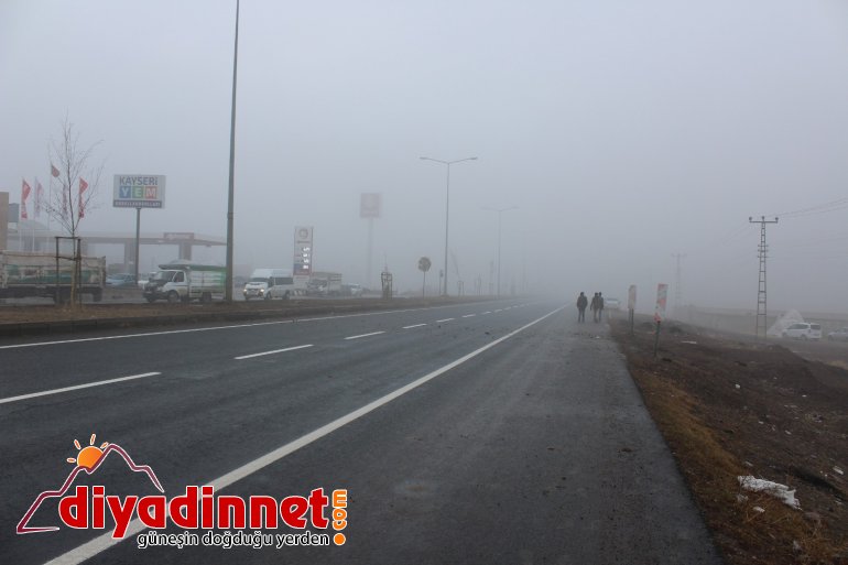 Ağrı da yoğun sis etkili oldu4