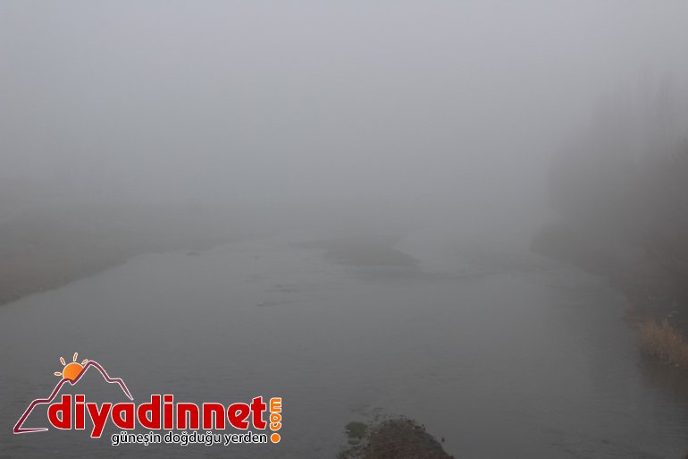 Ağrı da yoğun sis etkili oldu6
