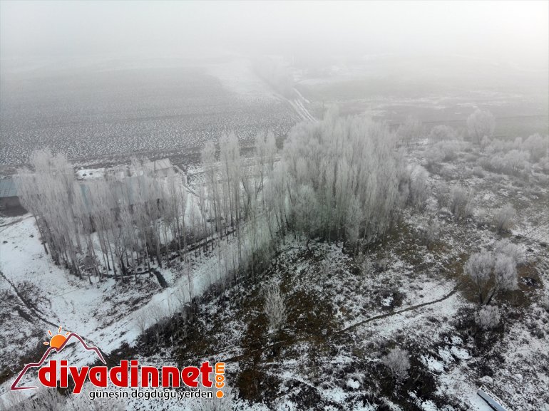 ağrı kar yağışı ve kış kırağı1