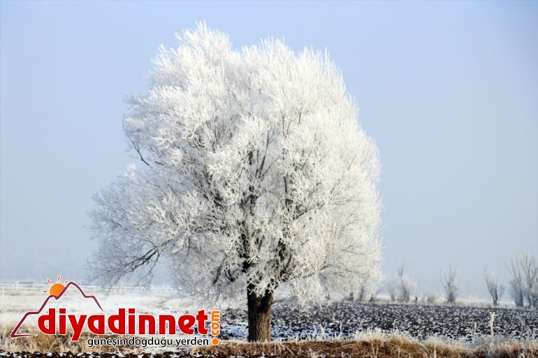 ağrı kar yağışı ve kış kırağı3