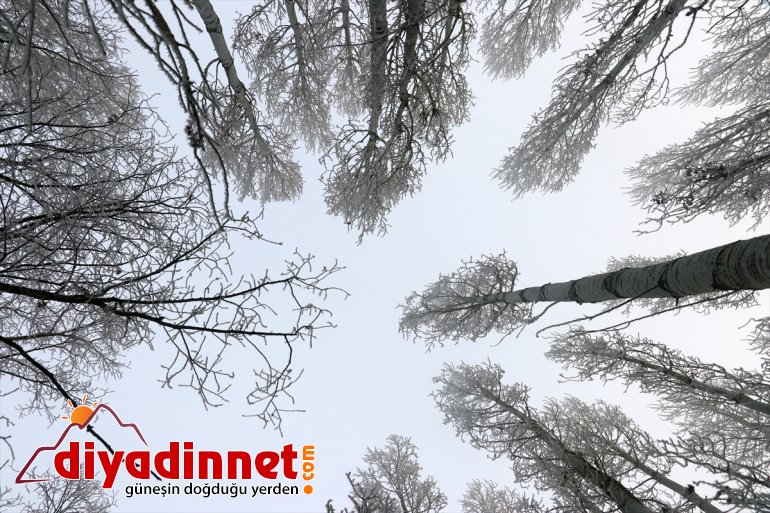 ağrı kar yağışı ve kış kırağı8