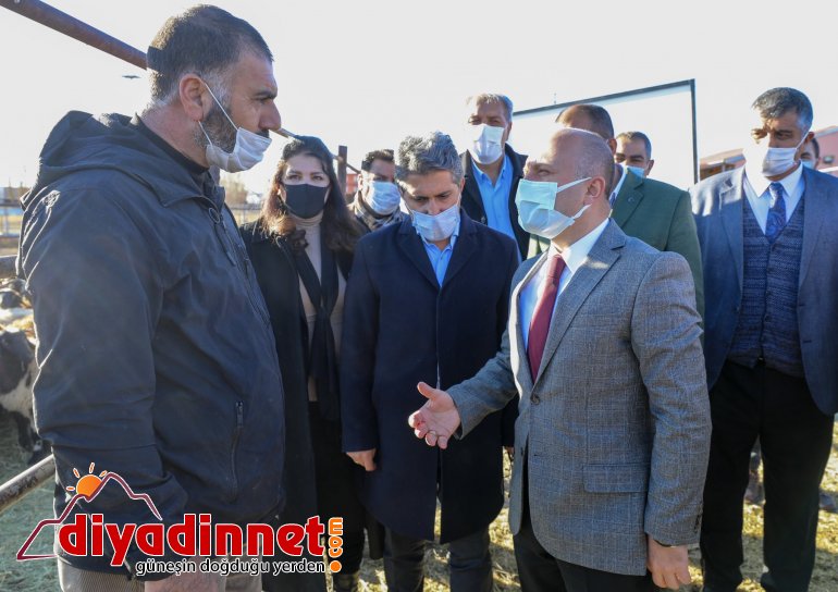 Ağrı Yılda Bin Koyun Projesi2