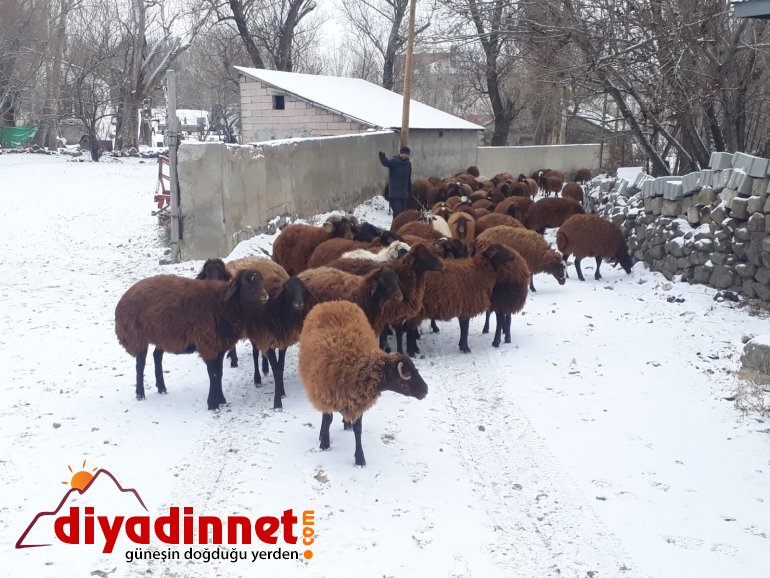 Ağrılılar güne karla uyandı